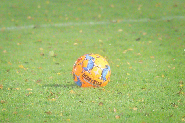 Een bal op het grasveld