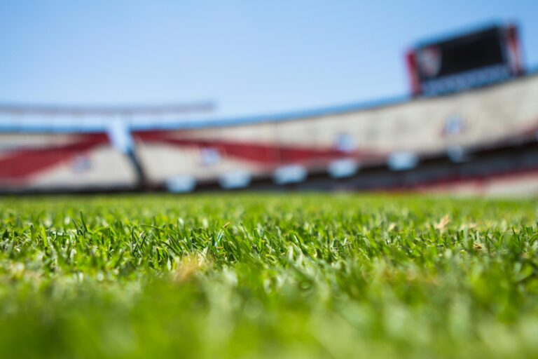 Een voetbalveld met daarin een tribune en gras