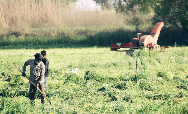 Wethouder probleem met boeren